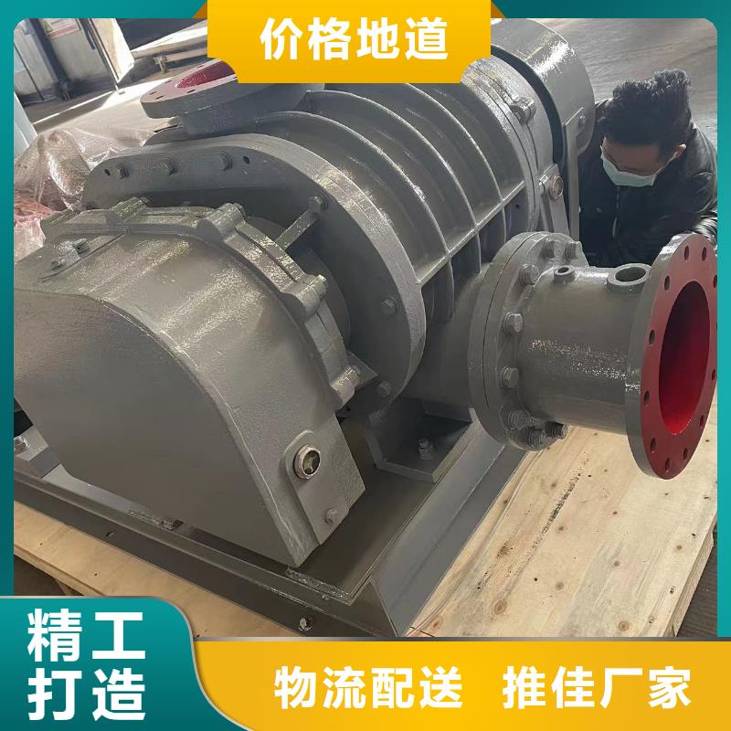 山东临风科技氧化风机LFSR125