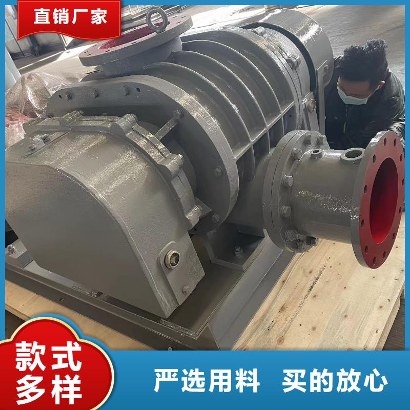 临风科技两叶罗茨风机LFSR80