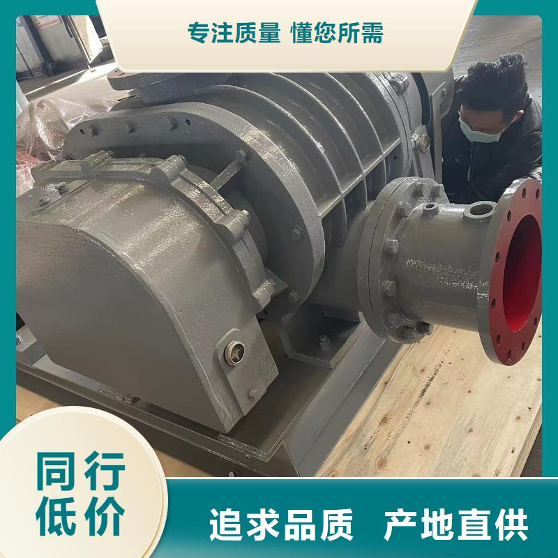 山东临风科技股份有限公司罗茨鼓风机LFSR100