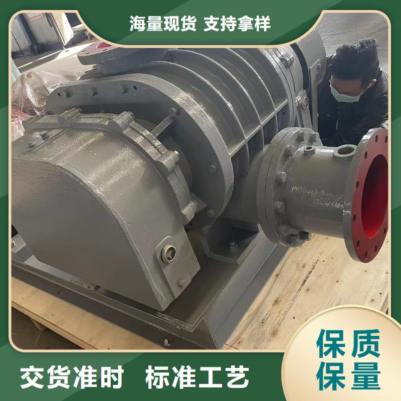 山东临风科技股份有限公司罗茨鼓风机LFSR250