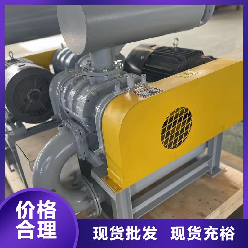 山东临风科技股份有限公司罗茨鼓风机LFSR200