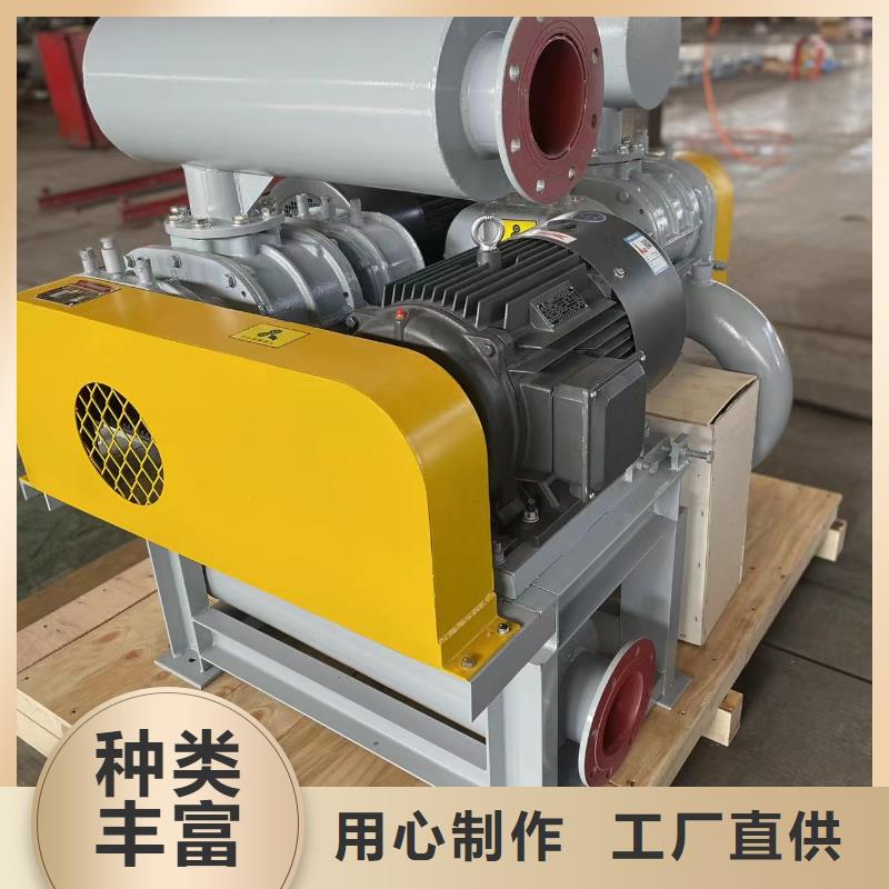 每日两叶罗茨风机LFSR300