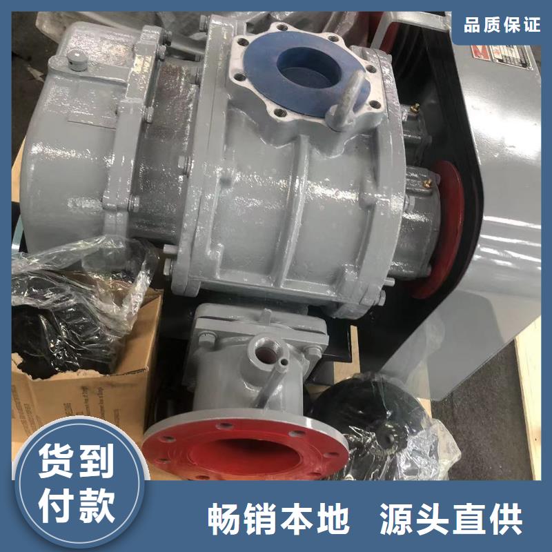 山东临风科技股份有限公司增压风机LFSR200