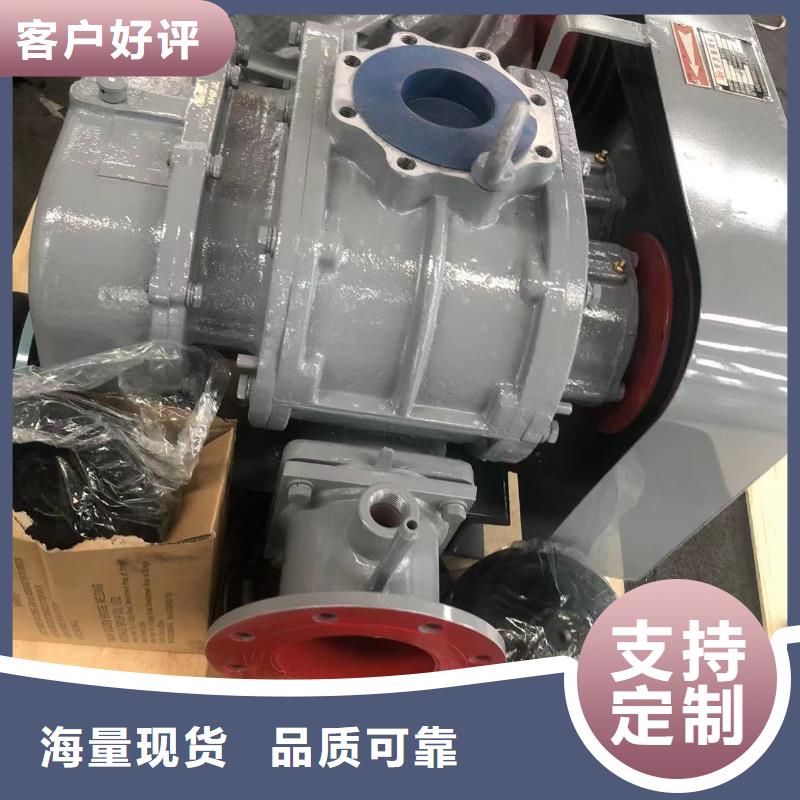 山东临风科技股份L系列罗茨风机LFSR65