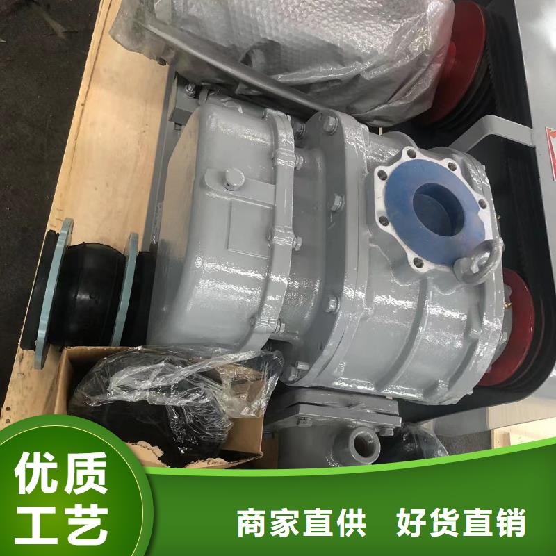 山东临风科技股份有限公司氧化风机LFSR250