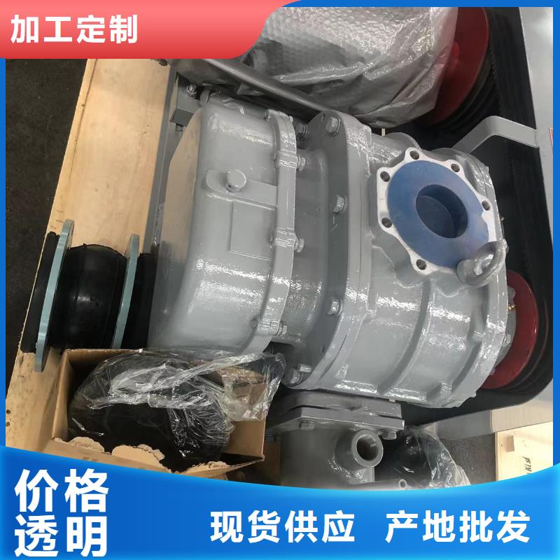 山东临风科技L系列罗茨风机LFSR300