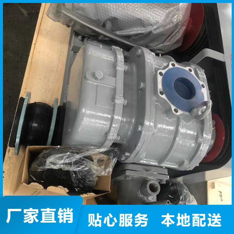 山东临风科技股份洗煤专用罗茨风机LFSR125