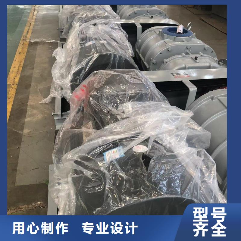 山东临风科技股份有限公司氧化风机LFSR65