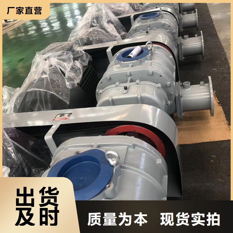 每日洗煤专用罗茨风机LFSR150