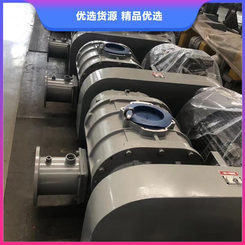 山东临风科技股份有限公司三叶罗茨鼓风机LFSR300