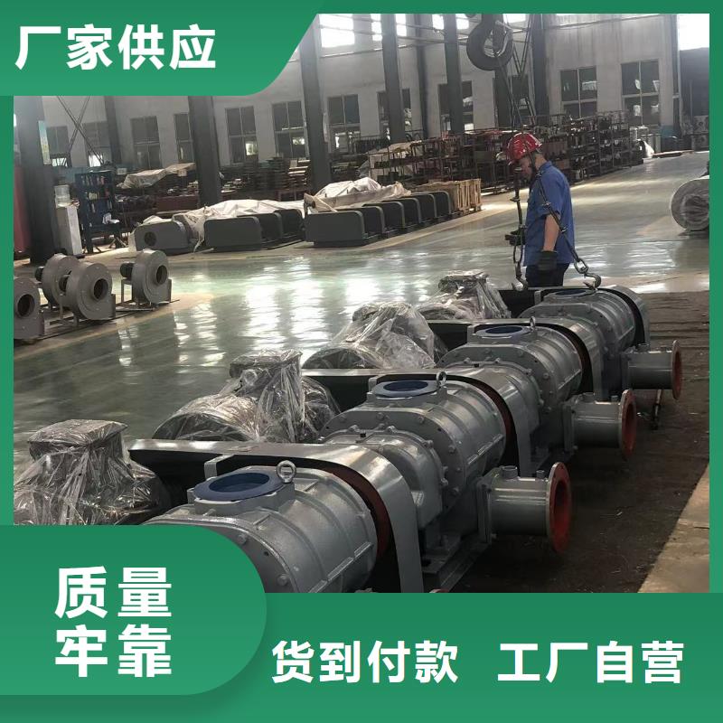 每日罗茨鼓风机LFSR150昌江县