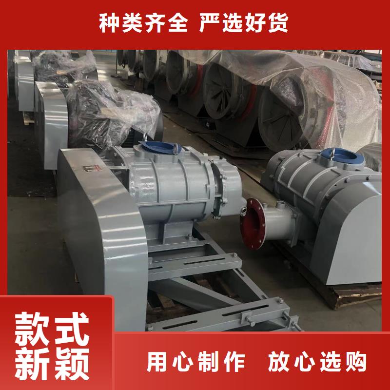 山东临风科技股份两叶罗茨风机LFSR250