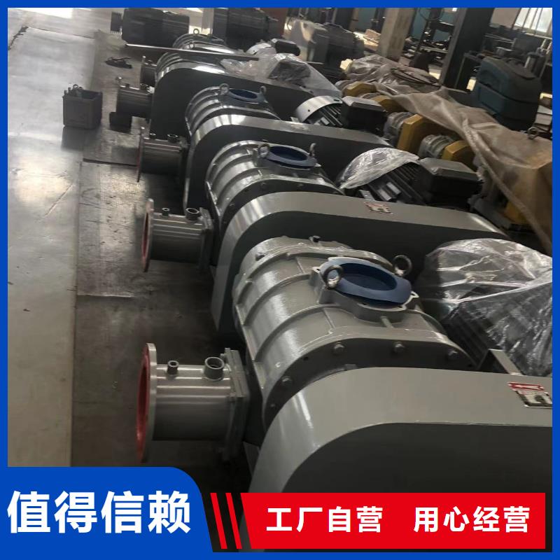山东临风科技股份有限公司三叶罗茨鼓风机LFSR125