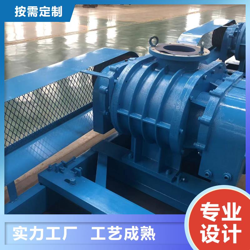 山东临风科技股份两叶罗茨风机LFSR100
