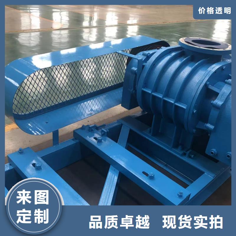 山东临风科技股份洗煤专用罗茨风机LFSR300