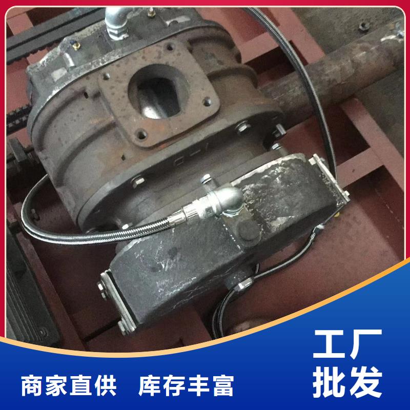 山东临风科技股份有限公司罗茨鼓风机LFSR80