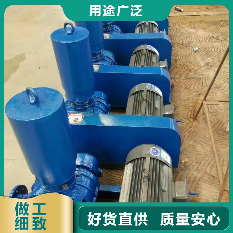 山东临风科技股份洗煤专用罗茨风机LFSR125