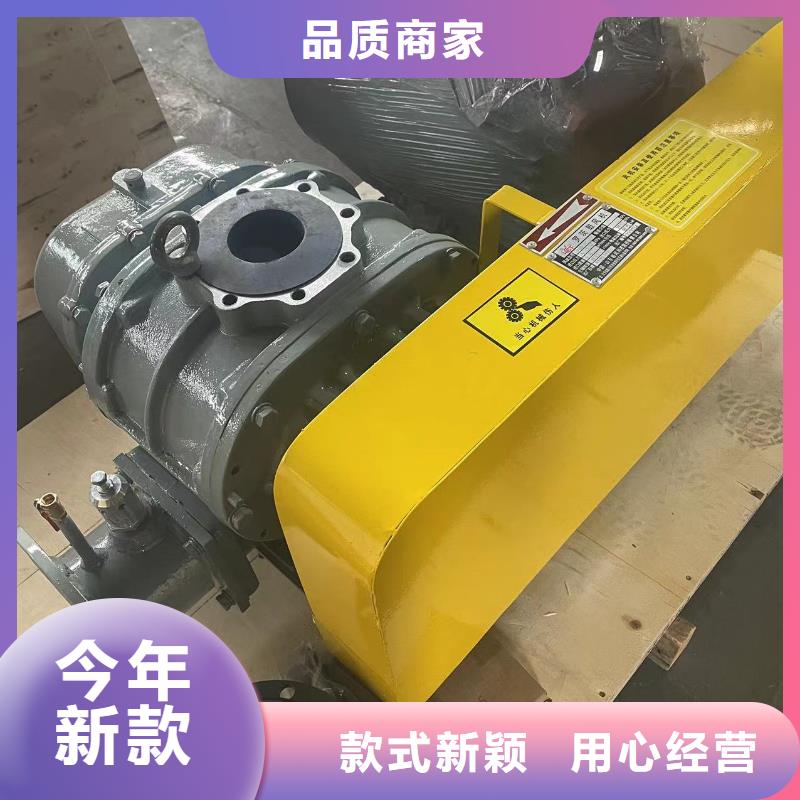 临风科技股份三叶罗茨鼓风机LFSR100