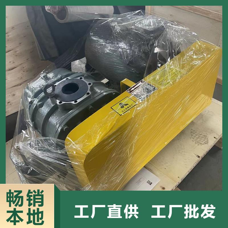 每日罗茨鼓风机LFSR65