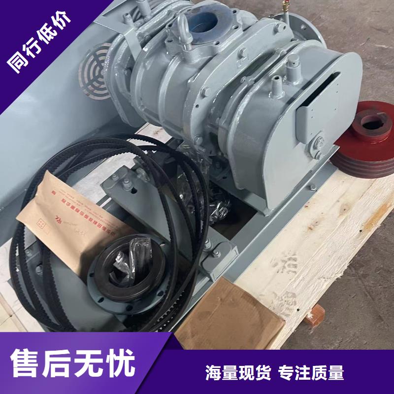 2025洗煤专用罗茨风机LFSR300