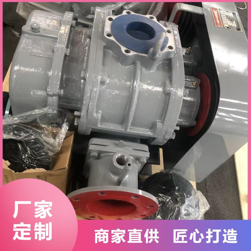 每日氧化风机LFSR200