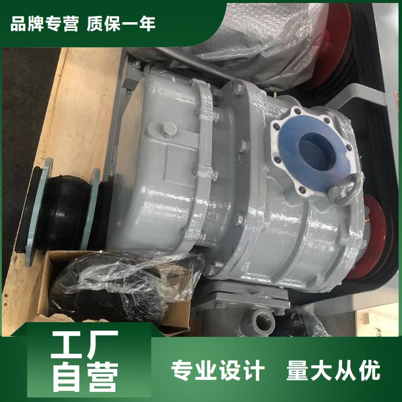 山东临风科技股份返料风机LFSR125