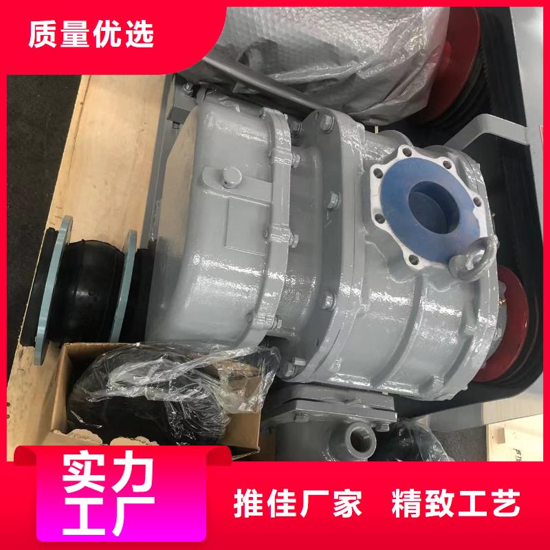 2025洗煤专用罗茨风机LFSR250