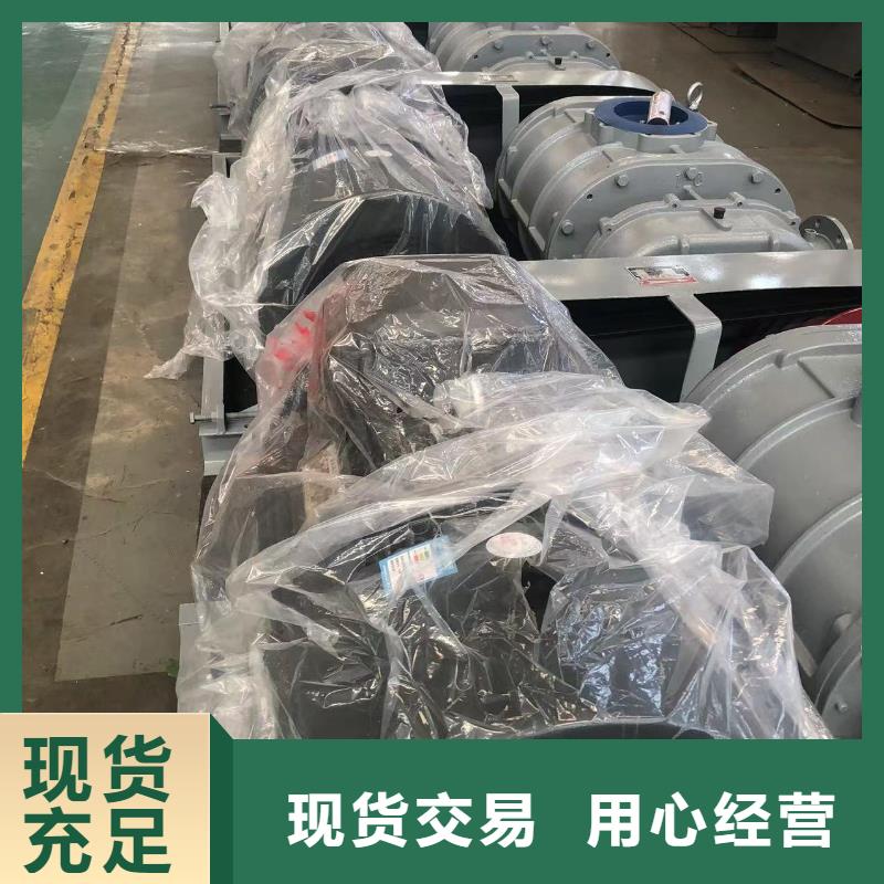 山东临风科技股份三叶罗茨鼓风机LFSR300