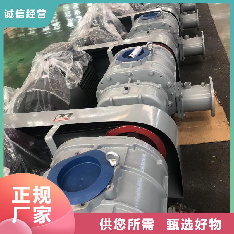 山东临风科技股份有限公司罗茨鼓风机LFSR250