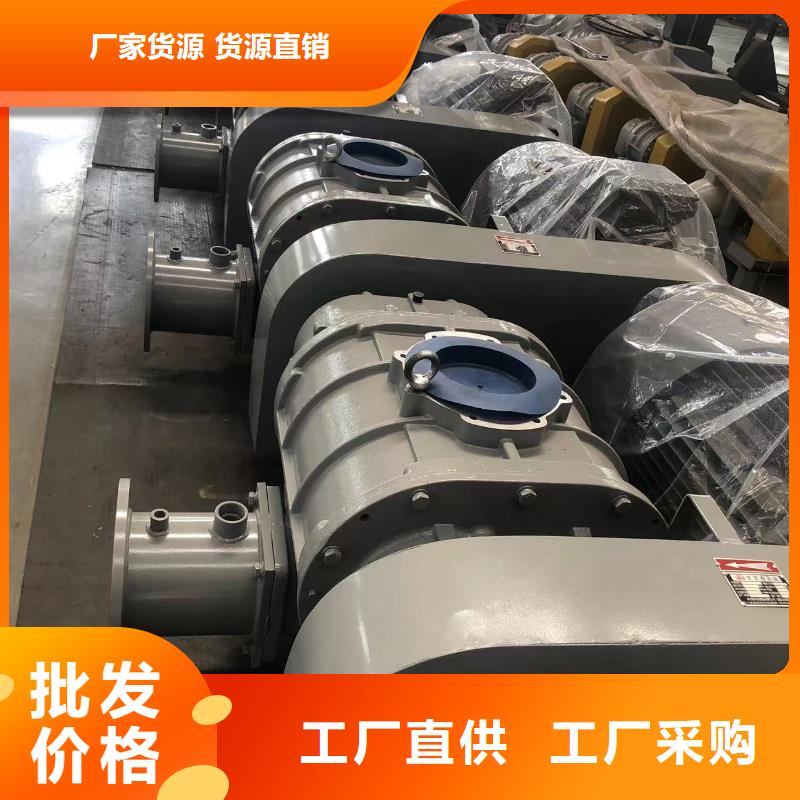 每日洗煤专用罗茨风机LFSR100