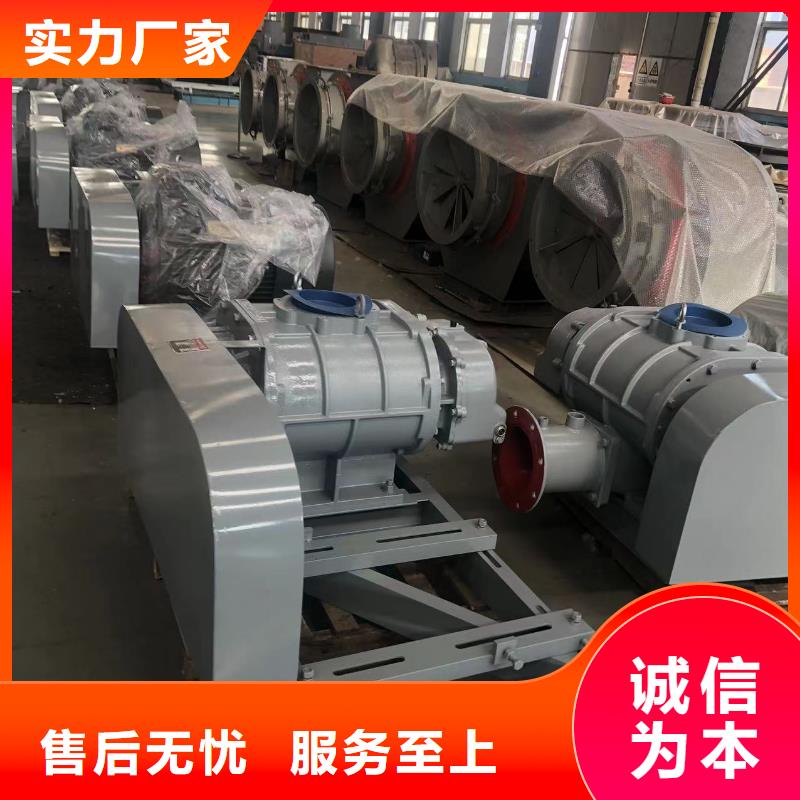 山东临风科技股份有限公司氧化风机LFSR80