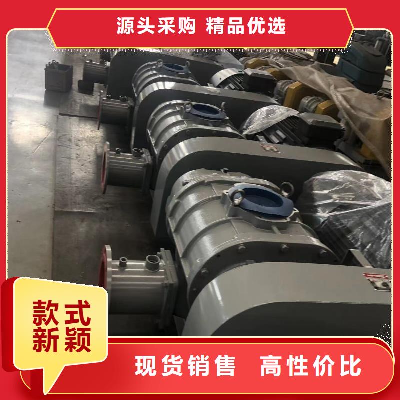 2025洗煤专用罗茨风机LFSR150