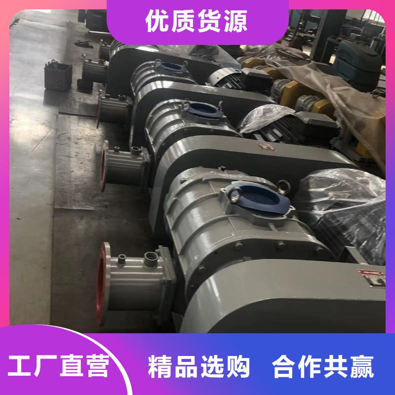 山东临风罗茨鼓风机LFSR300