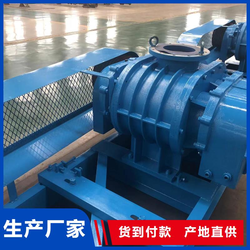 每日三叶罗茨鼓风机LFSR125