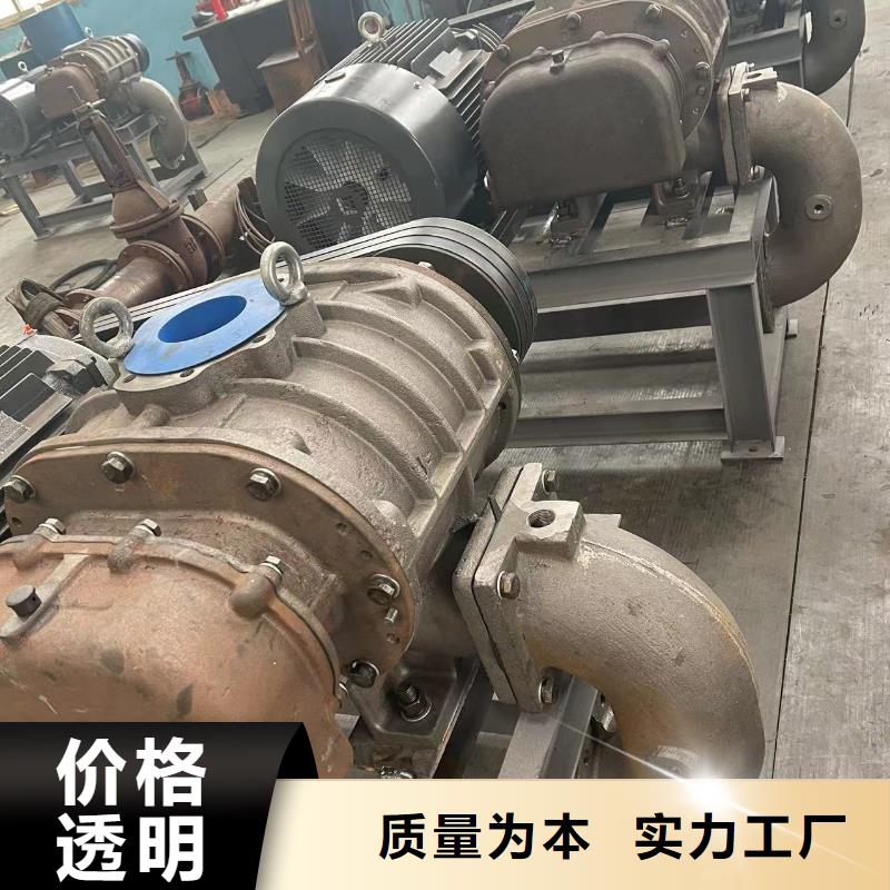 山东临风科技股份有限公司洗煤专用罗茨风机LFSR300