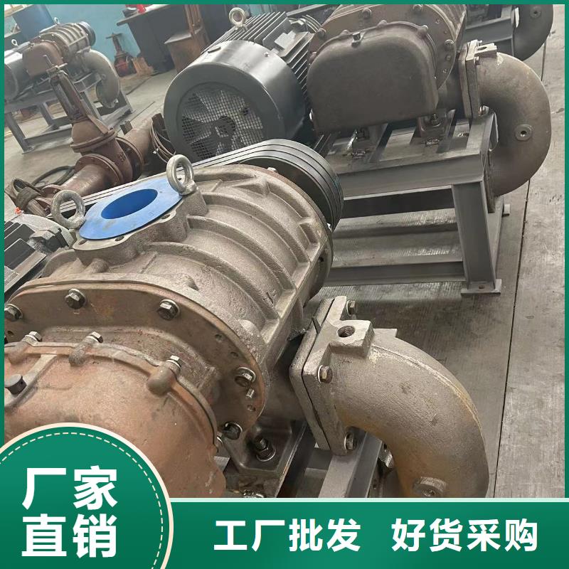 山东临风科技L系列罗茨风机LFSR300