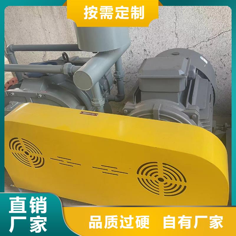 山东临风科技股份有限公司洗煤专用罗茨风机LFSR300