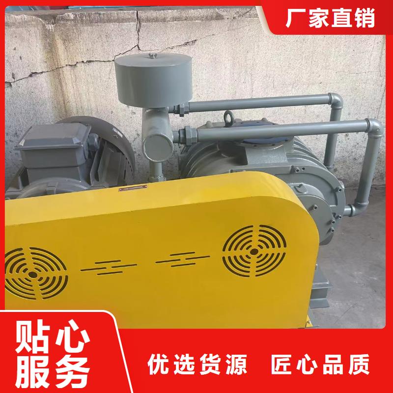 山东临风科技股份有限公司两叶罗茨风机LFSR100