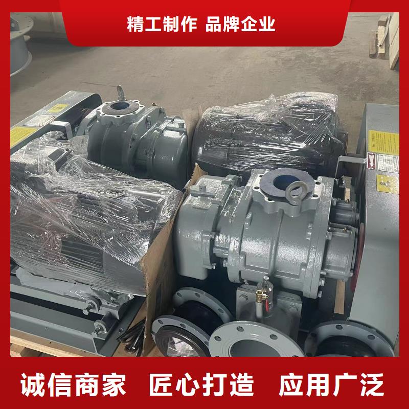 山东临风科技股份有限公司L系列罗茨风机LFSR80