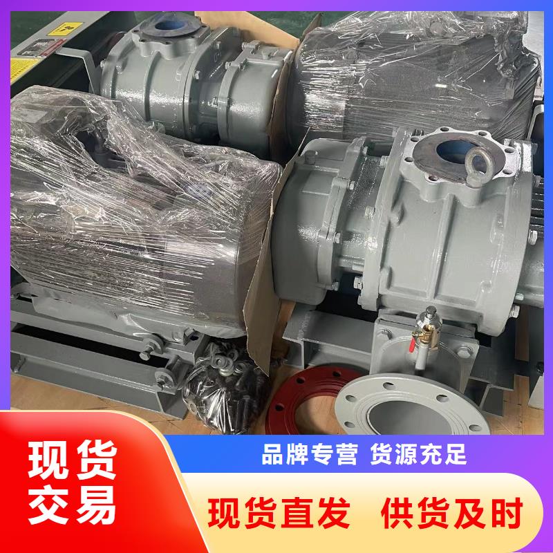 山东临风科技洗煤专用罗茨风机LFSR125