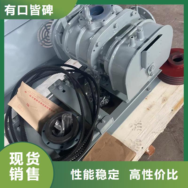 山东临风科技洗煤专用罗茨风机LFSR125