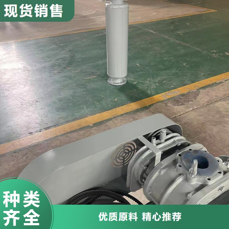 山东临风科技股份有限公司氧化风机LFSR100