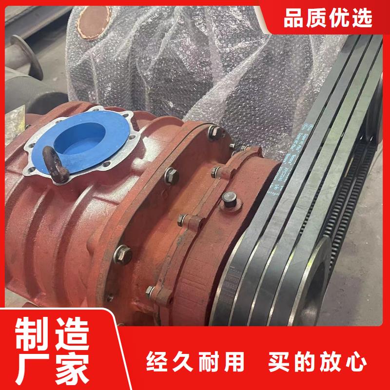2025罗茨鼓风机LFSR250