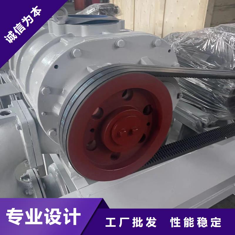 山东临风科技股份三叶罗茨鼓风机LFSR200