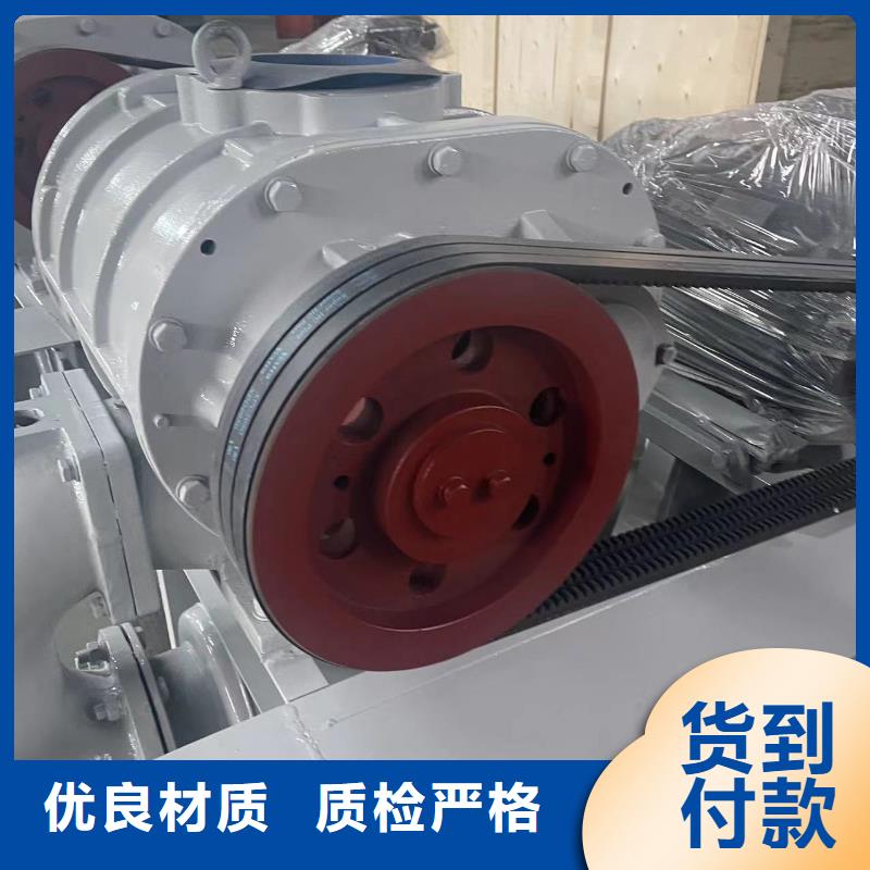 每日两叶罗茨风机LFSR300
