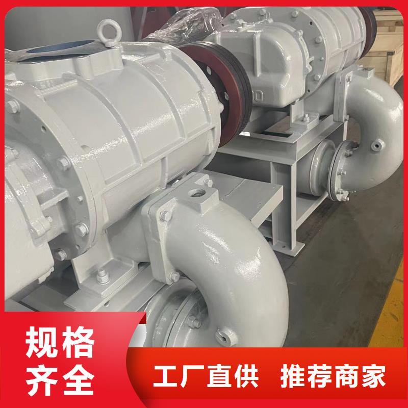 山东临风科技股份有限公司三叶罗茨风机LFSR250