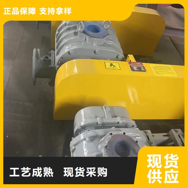 山东临风科技股份有限公司罗茨鼓风机LFSR300