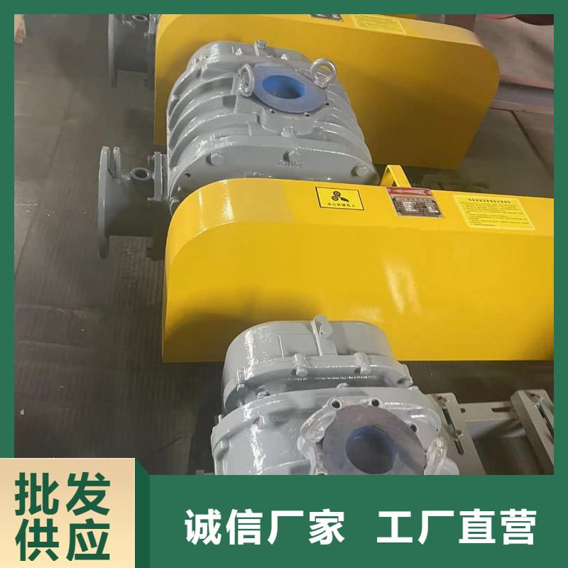 2025三叶罗茨鼓风机LFSR200