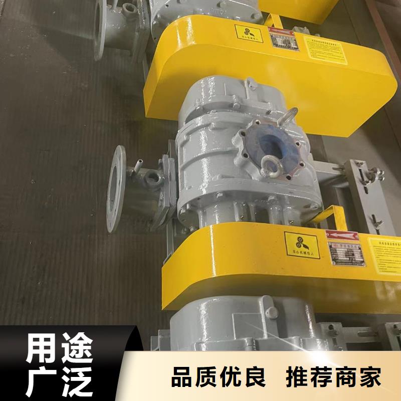 2025三叶罗茨鼓风机LFSR150