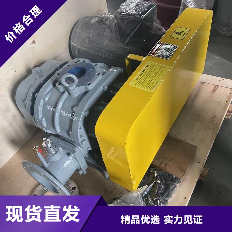 山东临风科技股份有限公司罗茨鼓风机LFSR300